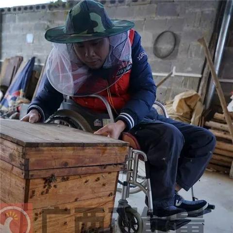 合山市车祸案最新进展全面解析