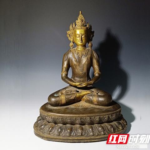 长沙公车拍卖最新资讯速递