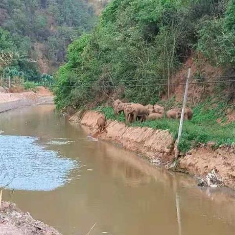 玉溪大河路线最新规划概览