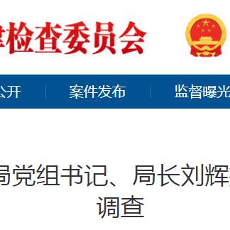 亳州刘辉最新职位大揭秘