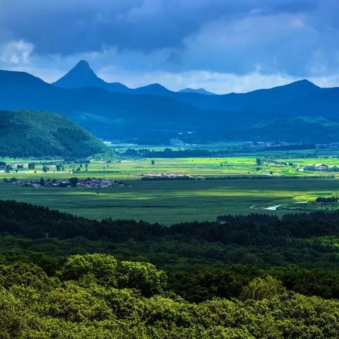 漫游都市最新版，未来城市新面貌探索