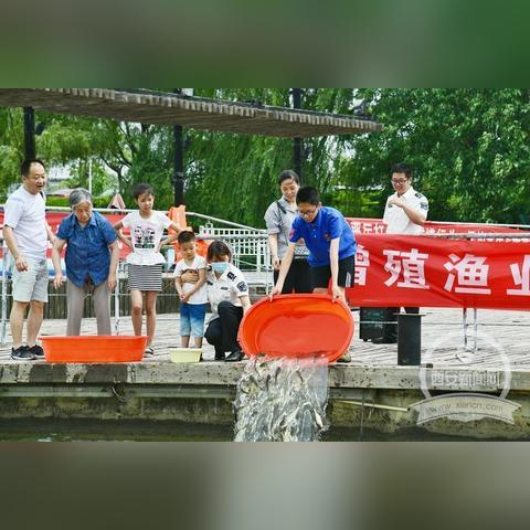 西安放鱼活动最新动态