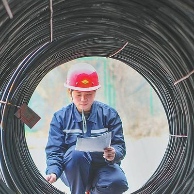 河北盘条最新价格动态及分析