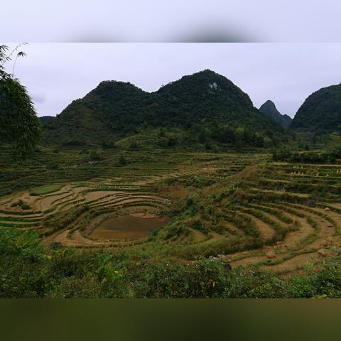 云南香蕉网实时更新资讯