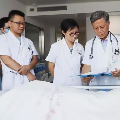 最新热议，91baby高干话题探讨
