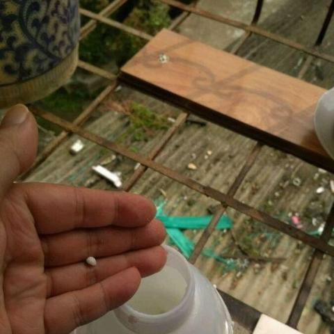 硫酸亚铁最新价格走势分析