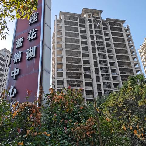 南阳莲花湖最新动态资讯