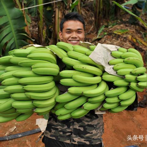 微容县新闻动态更新