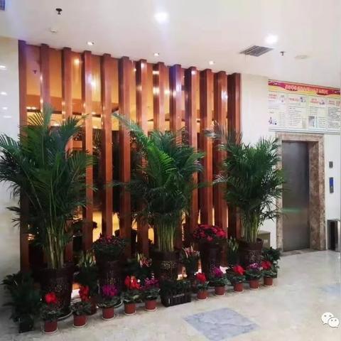 水岸雅居最新动态，理想居住新篇章揭晓