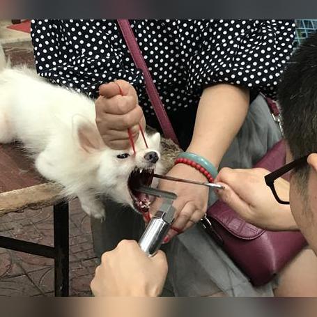 压脉带最新消毒方法介绍
