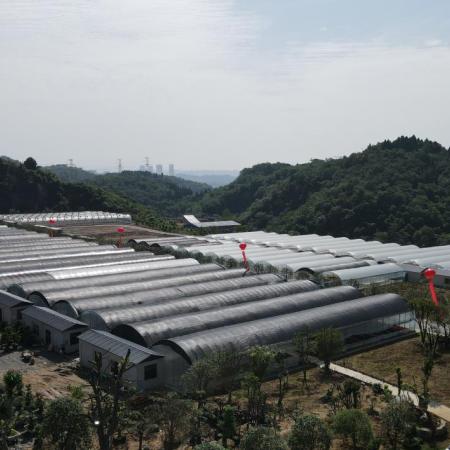 湖南采石场招聘启事，职业机遇与未来展望