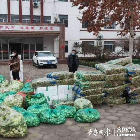 聊城蔬菜价格行情最新分析