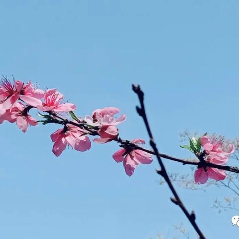 合肥滴滴专车司机招聘最新信息速递