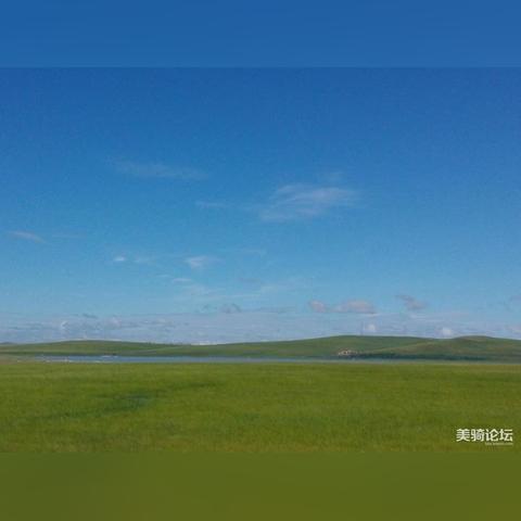 武汉狼盟网站最新概览介绍