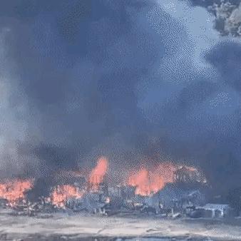 大白天野外战斗场景深度解析