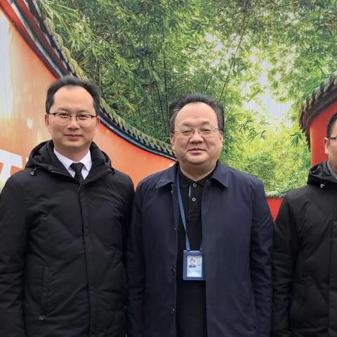 成都公车拍卖最新动态，细节揭秘与解读