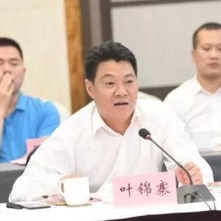 叶锦寨最新动态报道