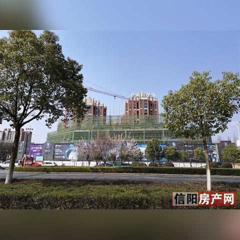 信阳羊山新区楼盘最新解析