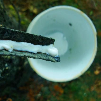 橡胶树电动割胶刀技术革新与性能解析