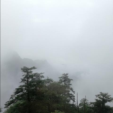沧州印象青城动态更新