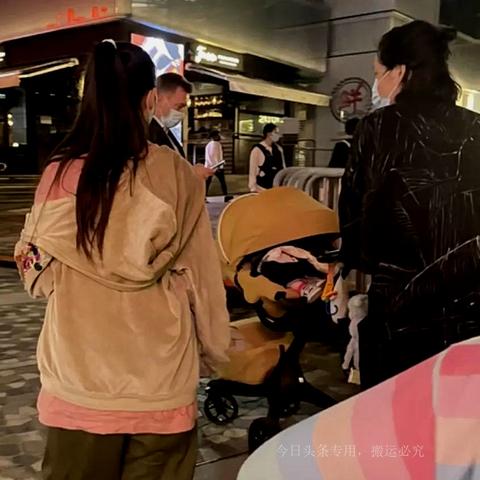郭碧婷最新电视剧，数字背后的精彩故事