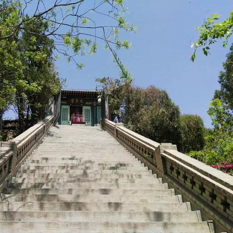 济南黄河新区最新动态更新