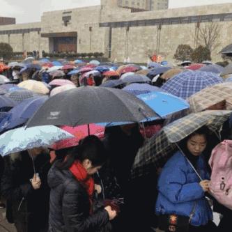 远方信息股票最新消息深度解读