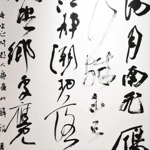 精准策略集团最新消息全面解读