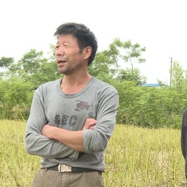 汉寿县蒋家嘴规划新动态