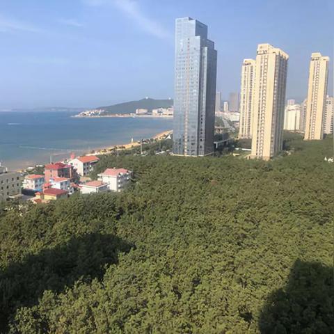威海威高集团招聘启事最新发布