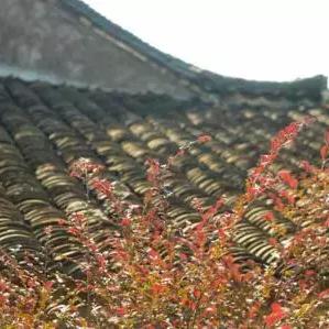 芜湖澳然天成最新房价走势分析